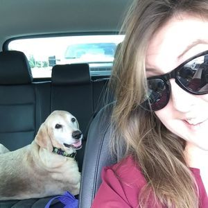 Meet your Posher, Lauren